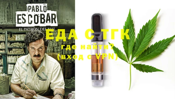 ECSTASY Алзамай