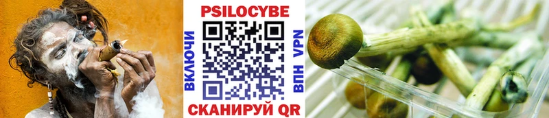 Псилоцибиновые грибы прущие грибы  Купить закладки  Баймак 
